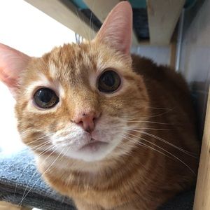 Meet your Posher, Sarah a